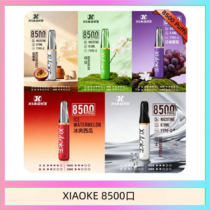 梟客XIAOKE一次性電子菸拋棄式8500口